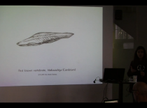 Amelia Andersdotter (se)